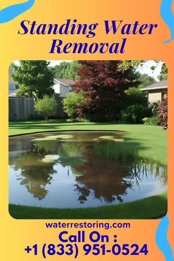 Standing Water Removal in French Lick, IN